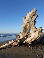 201509OlympicPeninsula 140