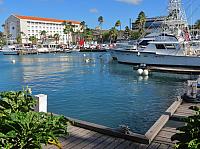 201511 Trip 272