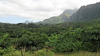 IMG 4137
