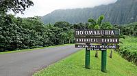 IMG 4141