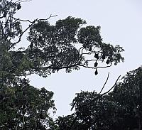 IMG 5025