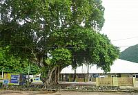 P1100261