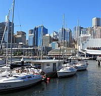 IMG 4451