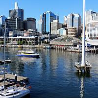 IMG 4474