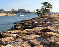 IMG 4494