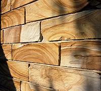 IMG 4502