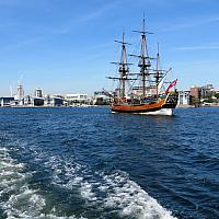 IMG 4531