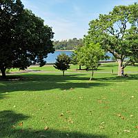 IMG 4562