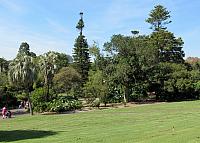 IMG 4571