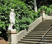 IMG 4577