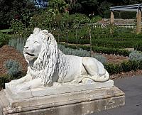 IMG 4582