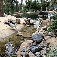 IMG 4721