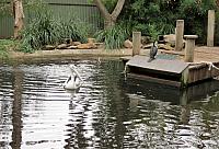 IMG 4723