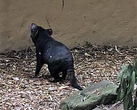 IMG 4736