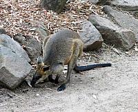 IMG 4745