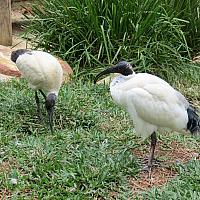 IMG 4759