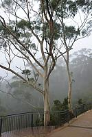 P1090989