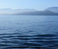 IMG 5419