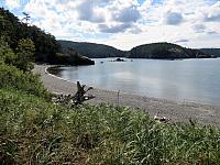 IMG 5623