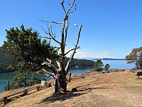 IMG 5725