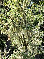 IMG 5743