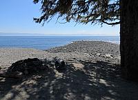 IMG 5874