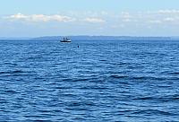 IMG 5899