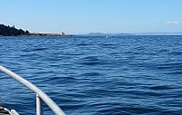 IMG 5934