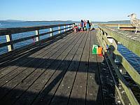 IMG 5951