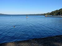 IMG 6014