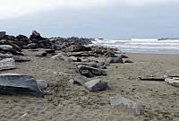 IMG 6025