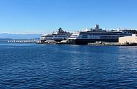 IMG 6105