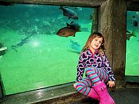 IMG 6141 (3)
