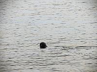IMG 6275