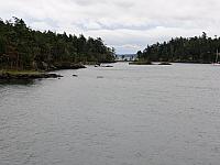 IMG 6284