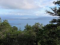 IMG 6301