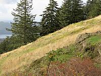 IMG 6311