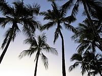 IMG 6434