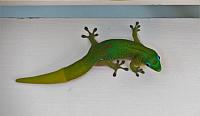 IMG 6482
