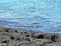 IMG 6542