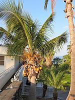 IMG 6660