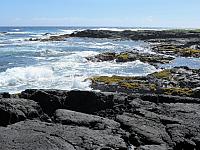 IMG 6683