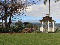 IMG 6716