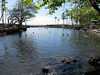 IMG 6726
