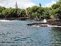 IMG 6731