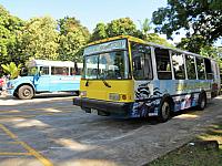 IMG 6805