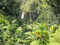 IMG 6833