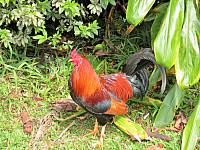 IMG 6842