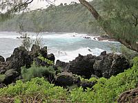 IMG 6879