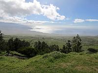 IMG 6890